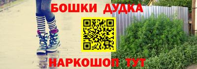 прущие крисы Бийск