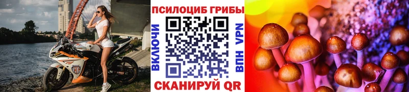 ссылка на мегу зеркало Тара Галлюциногенные грибы Psilocybe даркнет сайт