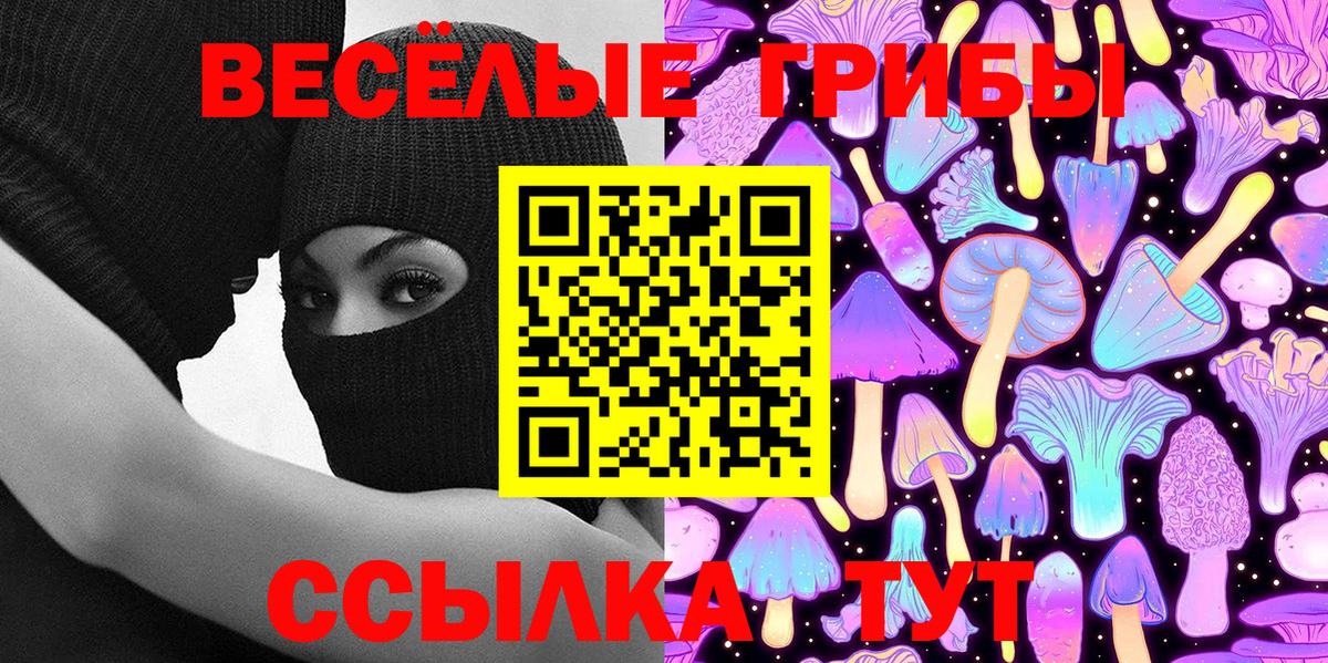 Псилоцибиновые грибы Psilocybine cubensis  Вход с VPN  Тара 