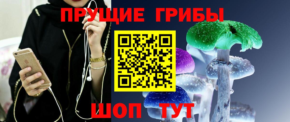 Галлюциногенные грибы Psilocybine cubensis Тара